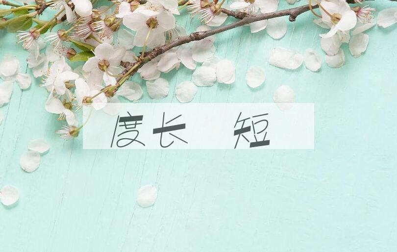 成语度长絜短是什么意思？