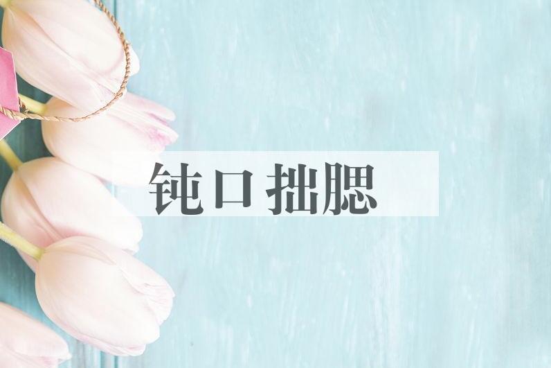 成语钝口拙腮是什么意思？