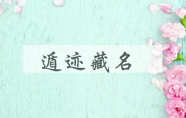 成语遁迹藏名是什么意思？