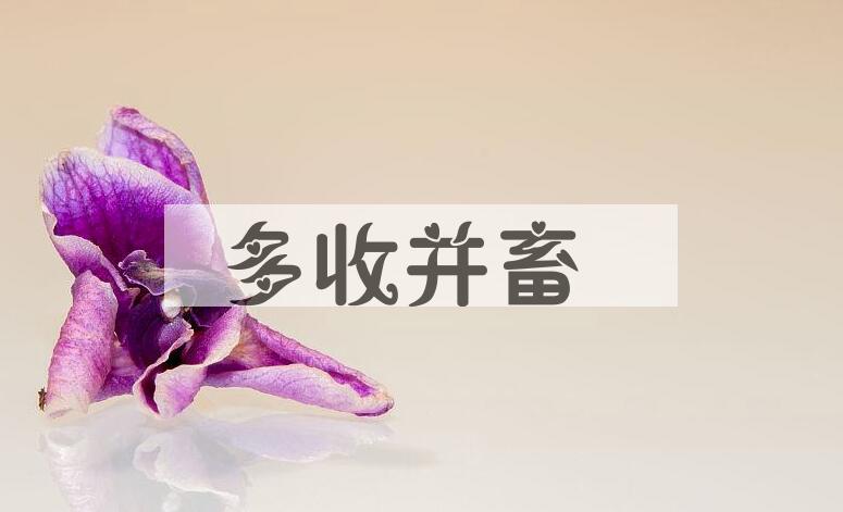 成语多收并畜是什么意思？