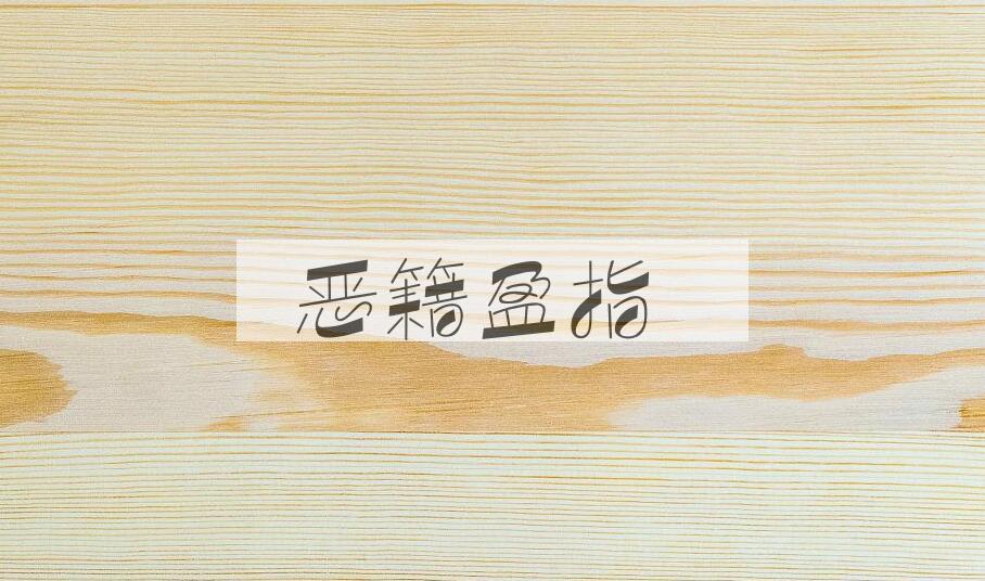 成语恶籍盈指是什么意思？