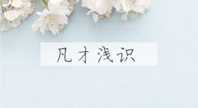 成语凡才浅识是什么意思？