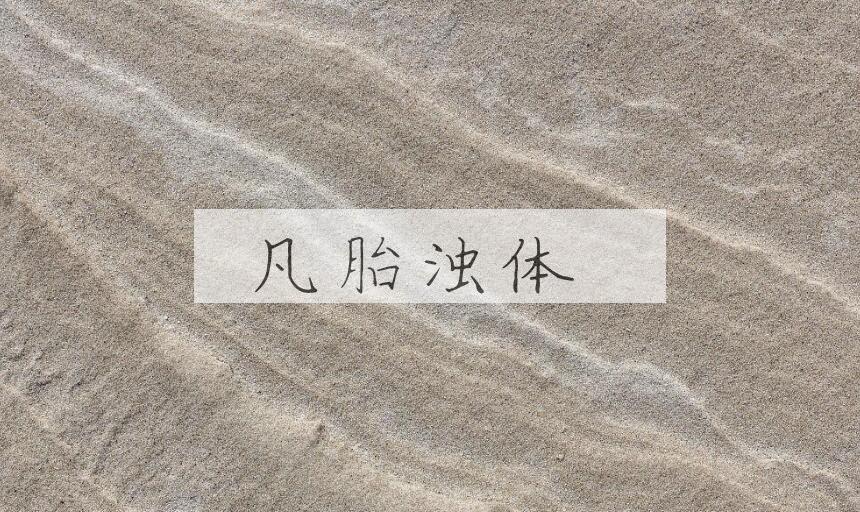 成语凡胎浊体是什么意思？