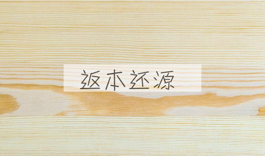 成语返本还源是什么意思？