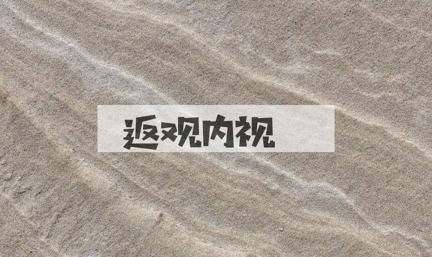 成语返观内视是什么意思？