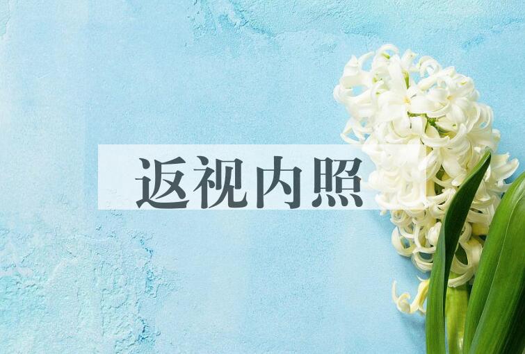 成语返视内照是什么意思？