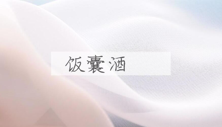 成语饭囊酒畒是什么意思？