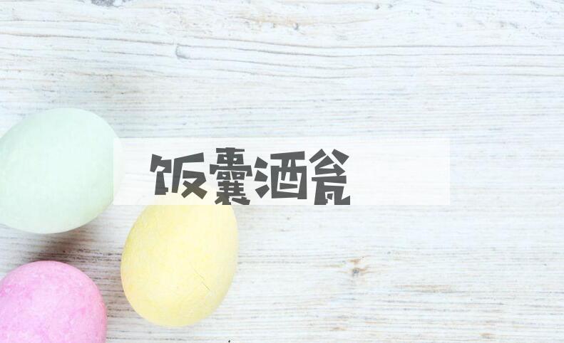 成语饭囊酒瓮是什么意思？