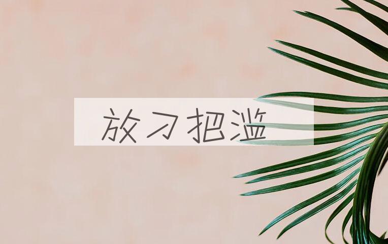 成语放刁把滥是什么意思？