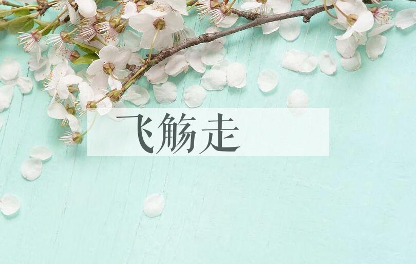 成语飞觞走斝是什么意思？
