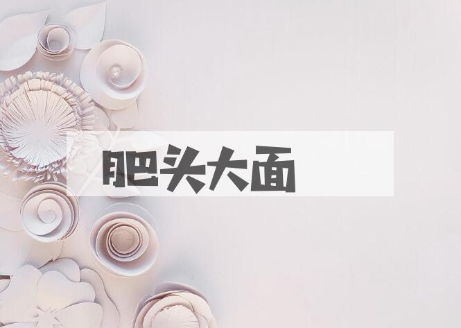 成语肥头大面是什么意思？