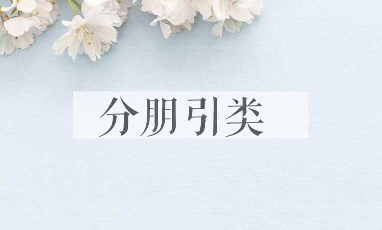 成语分朋引类是什么意思？