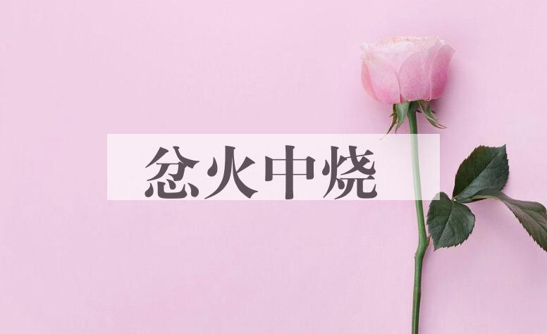 成语忿火中烧是什么意思？