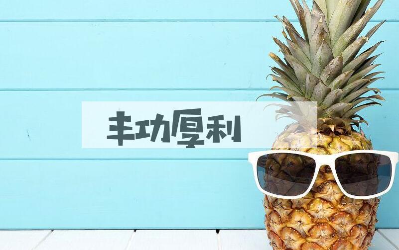 成语丰功厚利是什么意思？