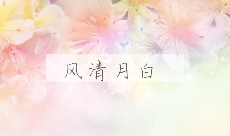 成语风清月白是什么意思？