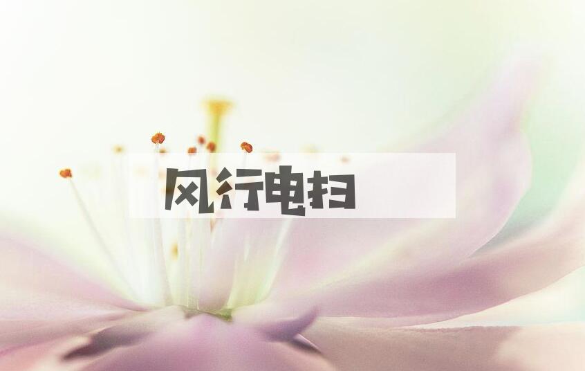 成语风行电扫是什么意思？