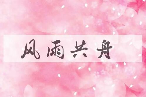 成语风雨共舟是什么意思？