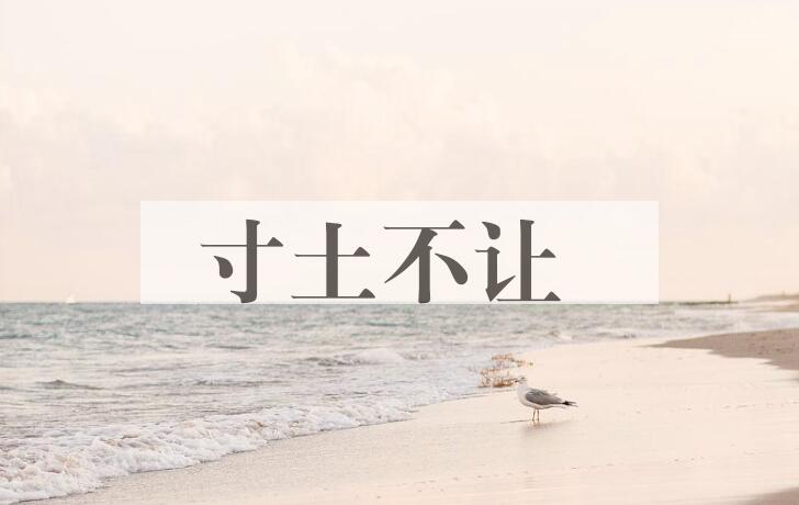 成语寸土不让是什么意思？