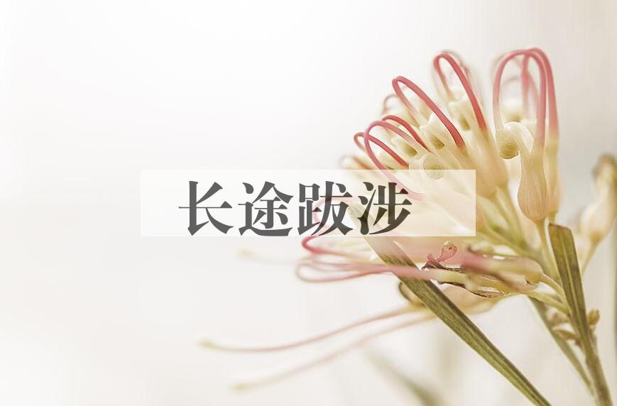 成语长途跋涉是什么意思？