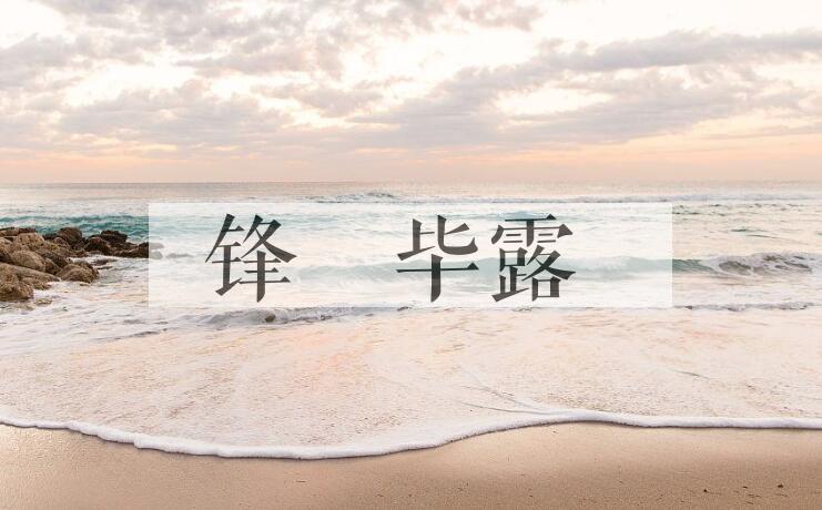 成语锋铓毕露是什么意思？