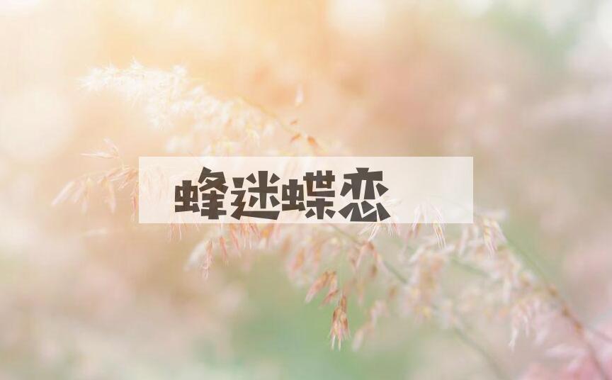 成语蜂迷蝶恋是什么意思？