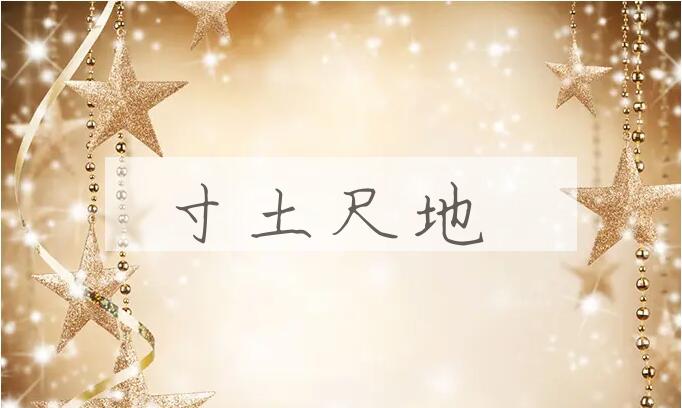 成语寸土尺地是什么意思？