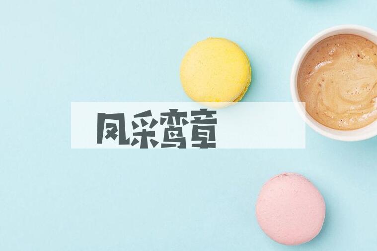 成语凤采鸾章是什么意思？