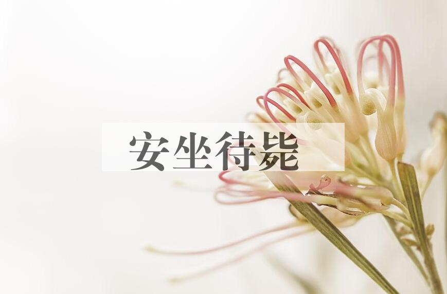 成语安坐待毙是什么意思？