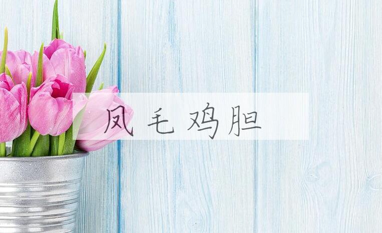 成语凤毛鸡胆是什么意思？