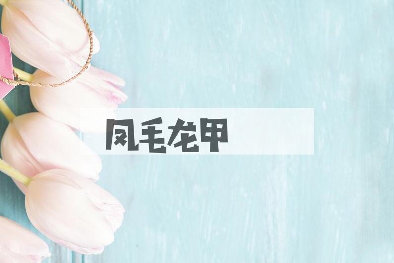 成语凤毛龙甲是什么意思？