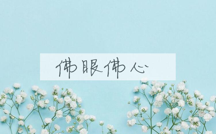 成语佛眼佛心是什么意思？