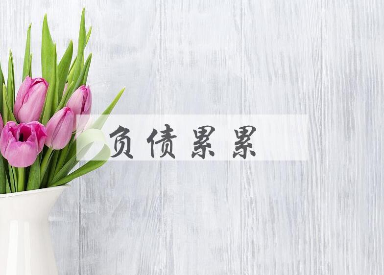 成语负债累累是什么意思？
