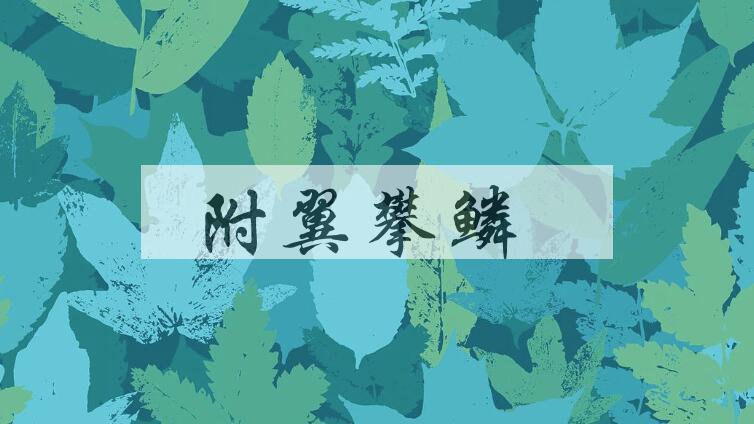 成语附翼攀鳞是什么意思？