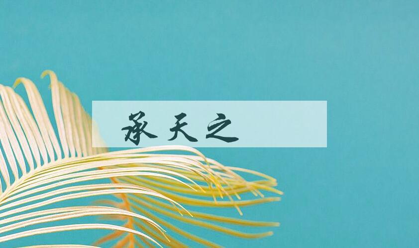 成语承天之祐是什么意思？