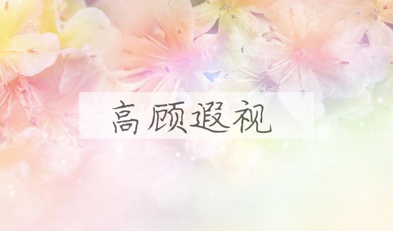 成语高顾遐视是什么意思？