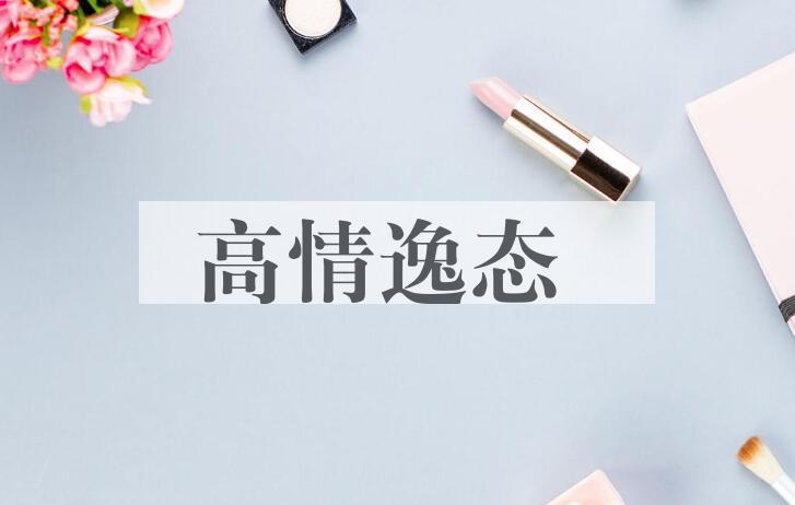 成语高情逸态是什么意思？