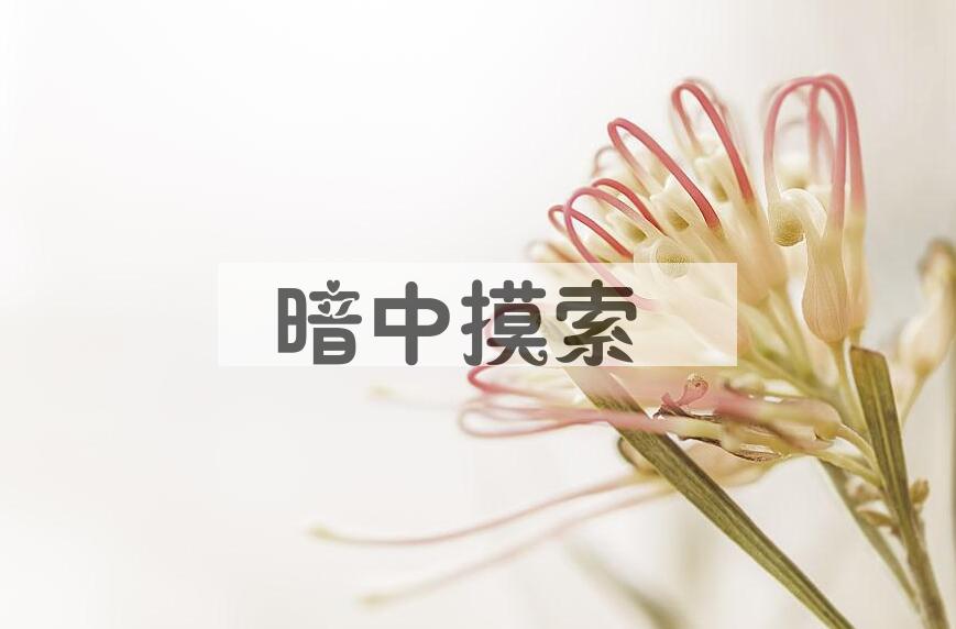 成语暗中摸索是什么意思？