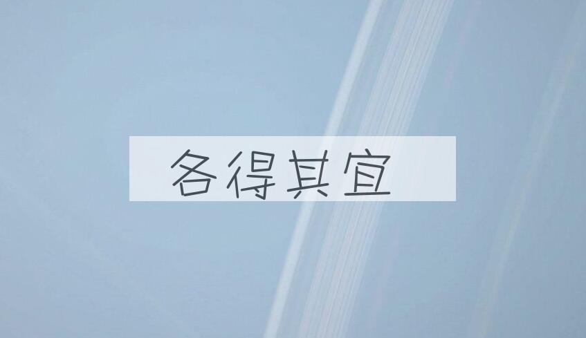 成语各得其宜是什么意思？