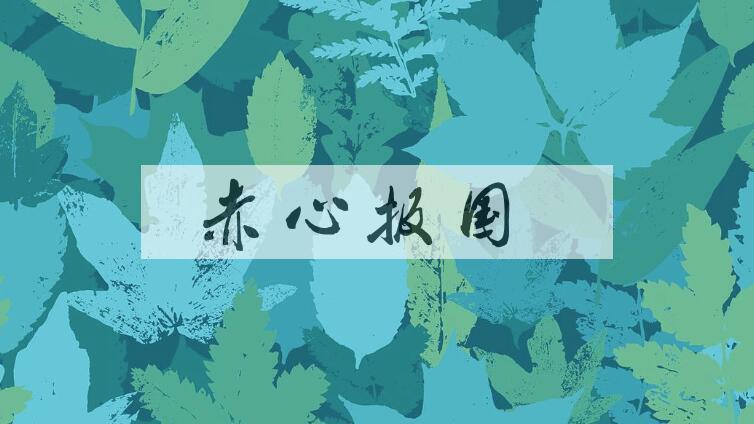 成语赤心报国是什么意思？
