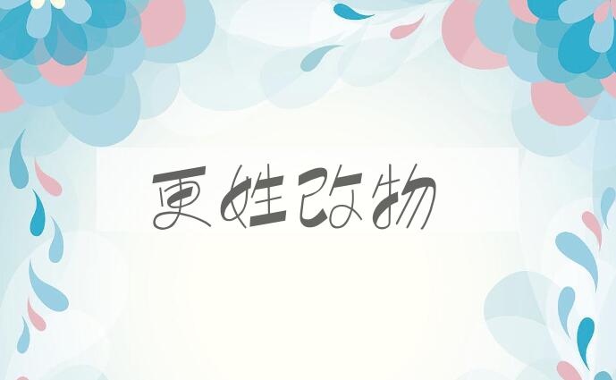 成语更姓改物是什么意思？