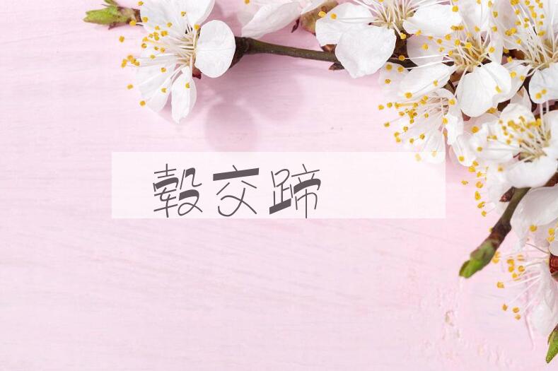 成语毂交蹄劘是什么意思？