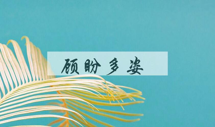 成语顾盼多姿是什么意思？