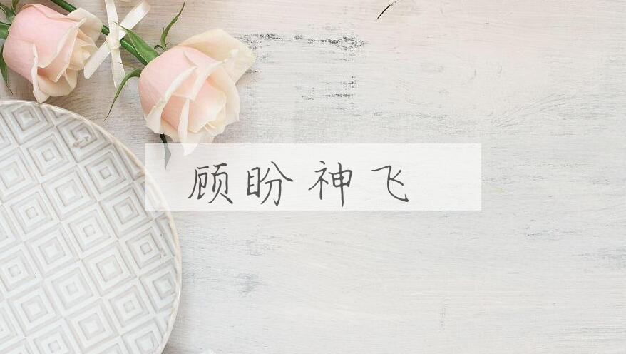 成语顾盼神飞是什么意思？