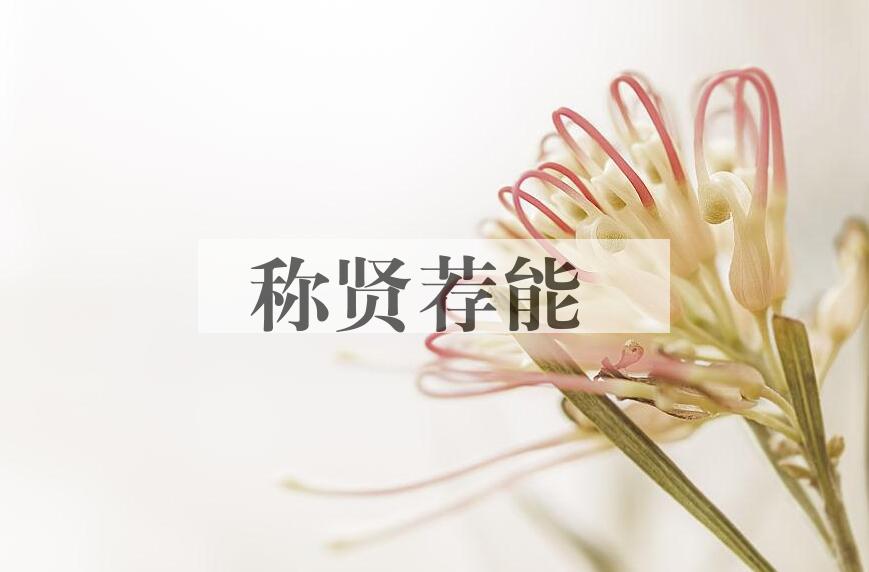 成语称贤荐能是什么意思？