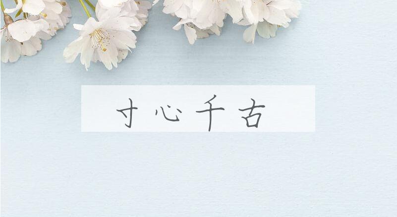 成语寸心千古是什么意思？