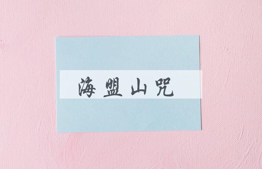 成语海盟山咒是什么意思？