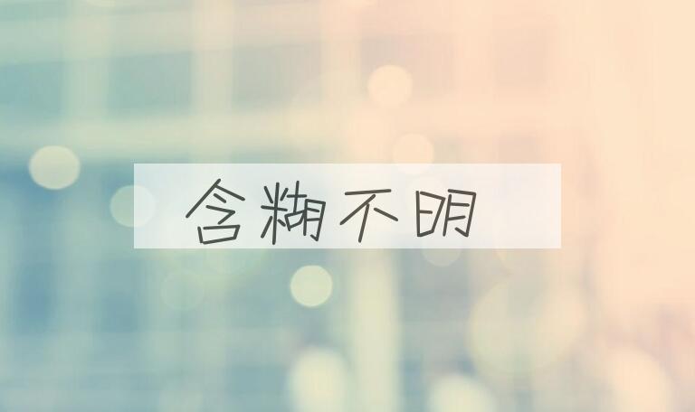 成语含糊不明是什么意思？
