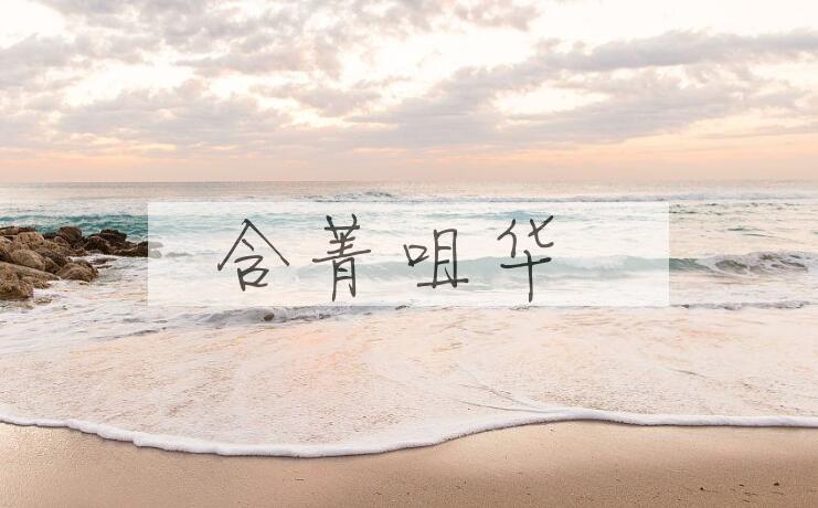 成语含菁咀华是什么意思？
