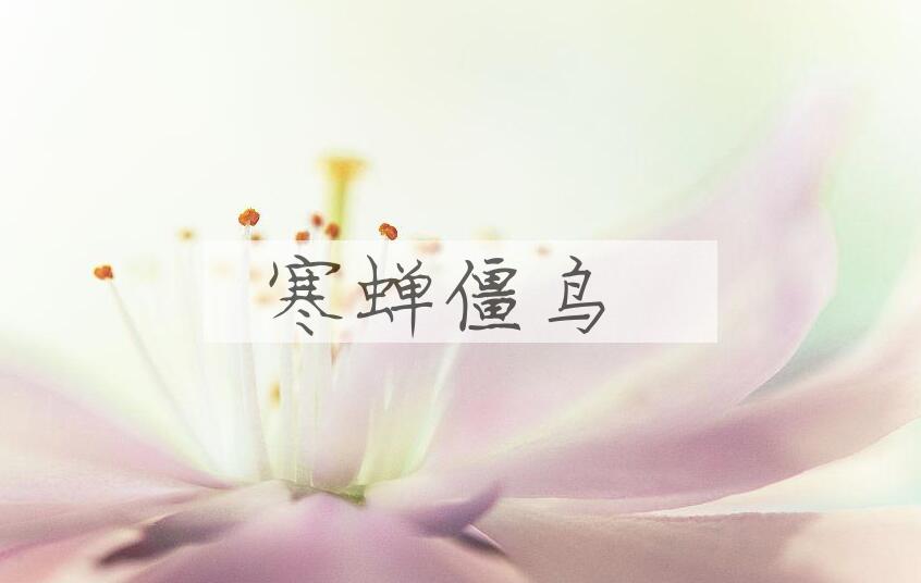 成语寒蝉僵鸟是什么意思？