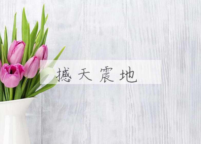 成语撼天震地是什么意思？